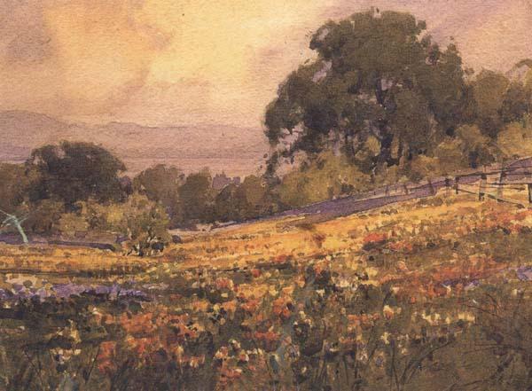 California landscape, unknow artist
